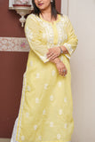 Dobby Cotton Chikankari Kurta with Lace Detailing
