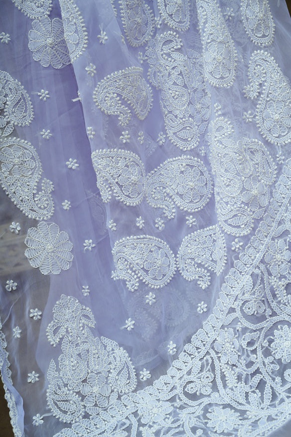 Riva Chiffon Bouch Saree