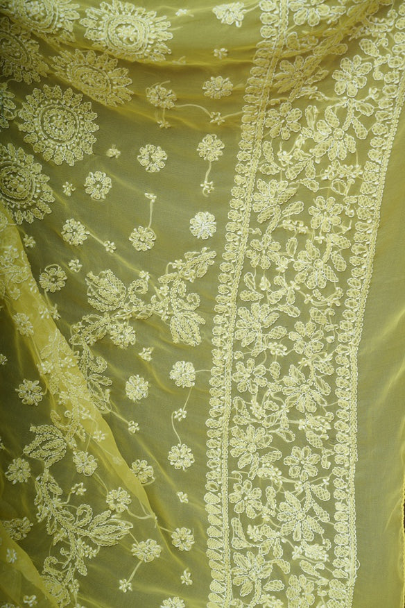 Sanya Suraj Chikankari Saree